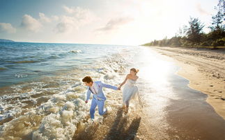 鹤轩的无力挽回,无法挽回的鹤轩悲剧