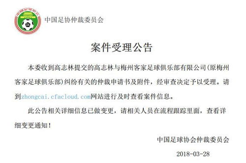 挽回声誉公告,公司发表正式声明，正视挽回声誉