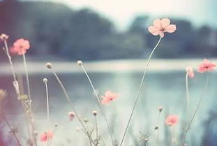 挽回感情花了九千多,九千多元挽回感情成功