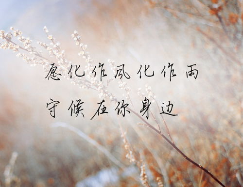 心路挽回成功率,心灵相通，挽回爱情成功率高