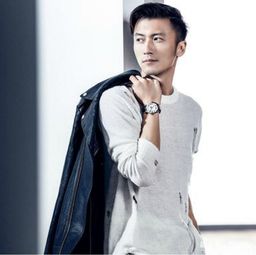 张柏芝挽回谢霆锋的歌,张柏芝挽回谢霆锋重新爱情的歌