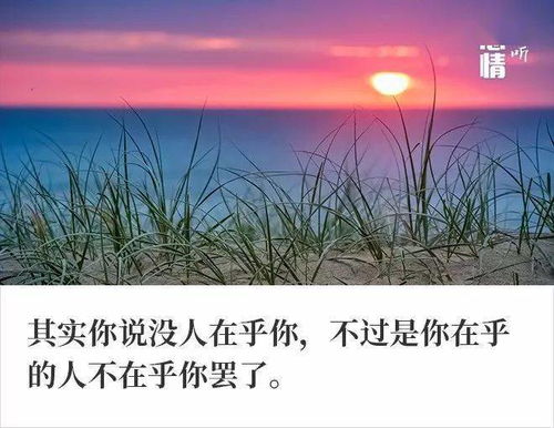 挽回是感动吗,挽回真情动人