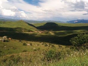 甘南感情挽回收费,甘南地区的感情挽回收费