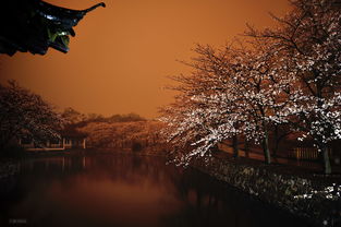 无法挽回的诗词,诗词重写：挽回已成往事，重修新篇新标题：重启新篇，追求新生