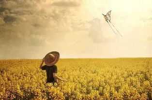 挽回夫妻感情破冰,重修旧好，挽回婚姻幸福