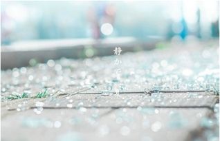 自己提分手挽回失败,挽回失败，我提出分手