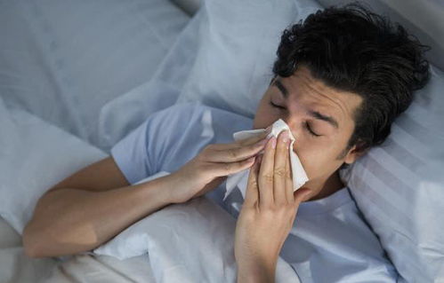 妻子犯错被婆婆挽回,儿媳妇出错，婆婆挽回局势