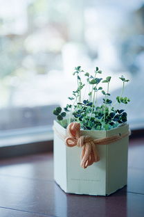 挽回前女友的动态,挽回前女友技巧高纳德