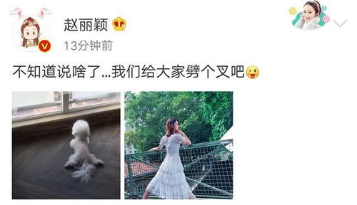 太直接了怎么挽回,婉转恳求，如何挽回？