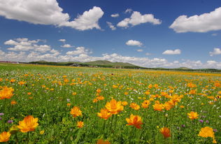 花田可以挽回婚姻吗,花田能救回婚姻吗？