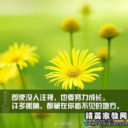 表示挽回的名言名句,改变命运的智慧语录