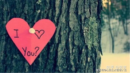 挽回感情终极的奥义,挽回感情的终极秘籍