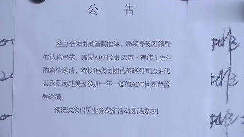 定制挽回计划书,如何挽回失去的爱情