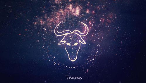 处女座想挽回，如何让处女座的TA回心转意？