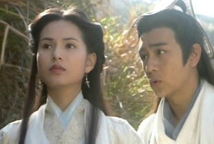 段誉为了挽回木婉清,段誉挽回木婉清的努力