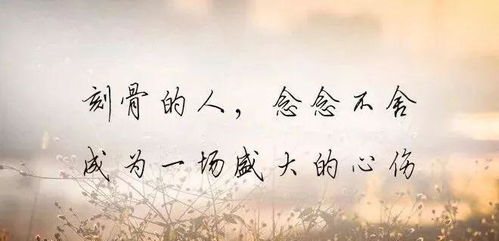 挽回好友鸡汤语句大全,重获友情，用鸡汤激发心灵