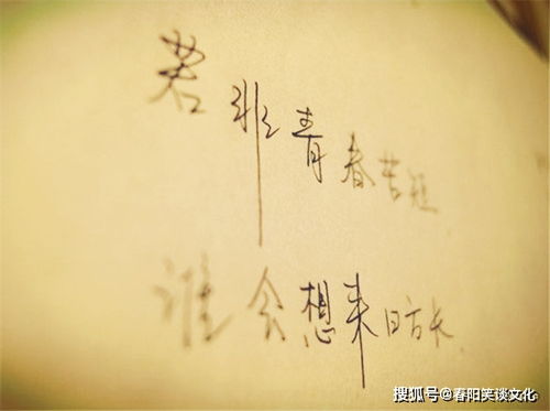 卑微挽回友谊的诗句，以谦卑之心挽回友谊