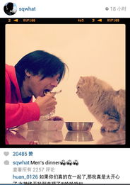 真性分手的挽回概率，重修旧好，真心挽回的成功率有多少？