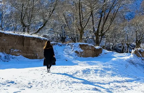 断联雪地女王挽回,雪地女王寻回失落的爱情