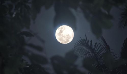 如何挽回月亮摩羯座老公,如何重振月亮摩羯老公的爱