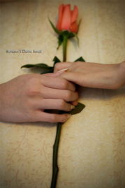 情感木桶效应挽回方法,情感互动：挽回爱情的有效方法