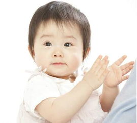 怎样挽回属狗的男人,如何挽回属狗男？)