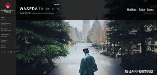 挽回复联唤起记忆,挽回记忆：联合复苏