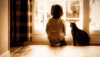 挽回用朋友去试探,利用友情试探情况，努力挽回（25字）