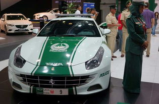 富家女挽回跑车,富豪千金争取回跑车