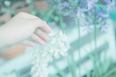 挽回聪明女人的句子,聪明女人必看的挽回技巧