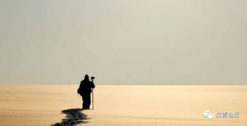 挽回的故事是什么,失去又归来：一个关于挽回的真实故事--离开并回来：一个真实的挽回故事