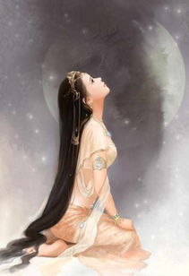 挽回情花的诗词,重振败局，夺回芳心。