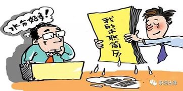 求职被拒怎么挽回,职场失利后如何自救