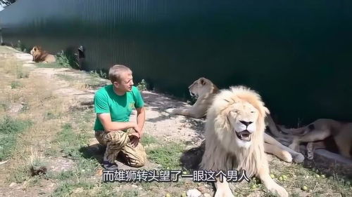 怎么重新挽回狮子男朋友，如何让狮子男友重新爱上你？