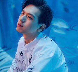 鱼哥挽回程哥,鱼哥成功挽回程哥友谊