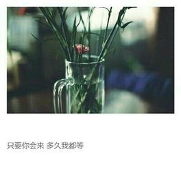 女生要怎么挽回对方,挽回男友：女生必看！