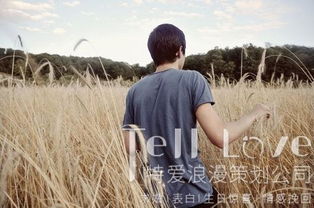 晋中挽回爱情在线咨询,晋中爱情挽回专家在线咨询