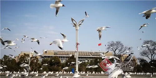 崭新的面貌迎接挽回,全新面貌迎接复苏