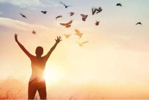 怎么用关心去挽回,怎样用真心关爱挽回TA)