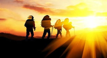 梦见失去的人挽回自己,重拾失去的对象——梦中的情感复苏