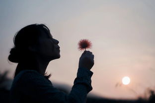 怎么挽回以前的感情,如何重拾旧情