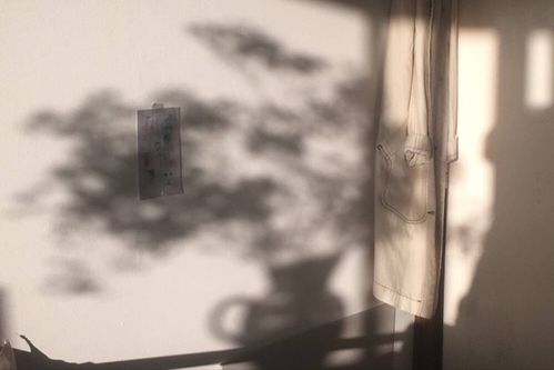 可以挽回射手男的话,挽回射手男，成功的关键是什么？