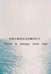 挽回摩羯座语录爱情短句,摩羯座的爱情语录，温暖恋人心灵