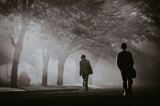 背叛欺骗的婚姻怎样挽回，如何重新建立背叛欺骗下的破碎婚姻？