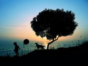 因果伤害了怎么挽回,遭受因果伤害，如何挽回？