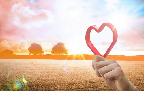 挽回女朋友壁纸教程,如何用定制壁纸挽回女友的心