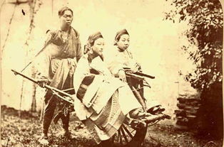 如何挽回清朝危机,如何拯救清朝：危机处理之道