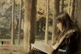 如何挽回伤害的前妻,挽回前妻：重修破碎的爱情