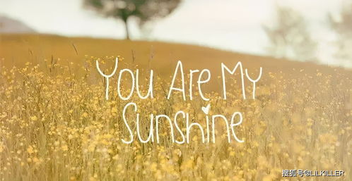 婚姻挽回机构那个好,如何选择婚姻挽回机构？（26字）)