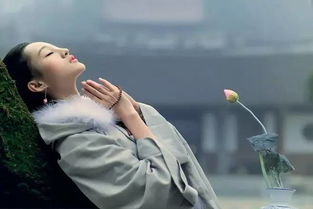 挽回老婆感人的诗句,一诗挽回婚姻，重拾幸福岁月